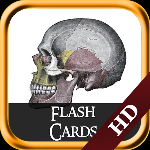 Gray Anatomy - Flash Cards icon