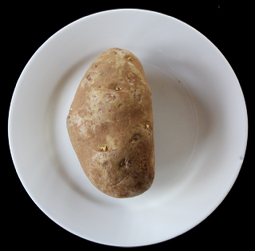 Hot Potato 2010