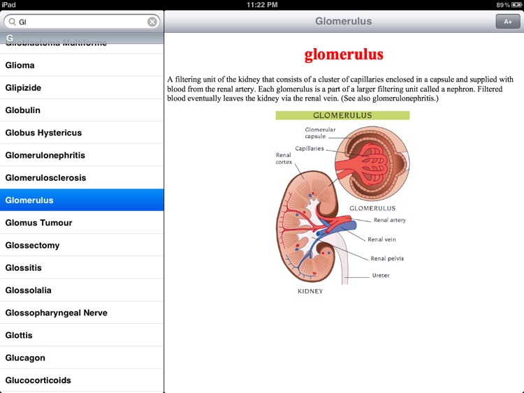 Illustrated Medical Dictionary
