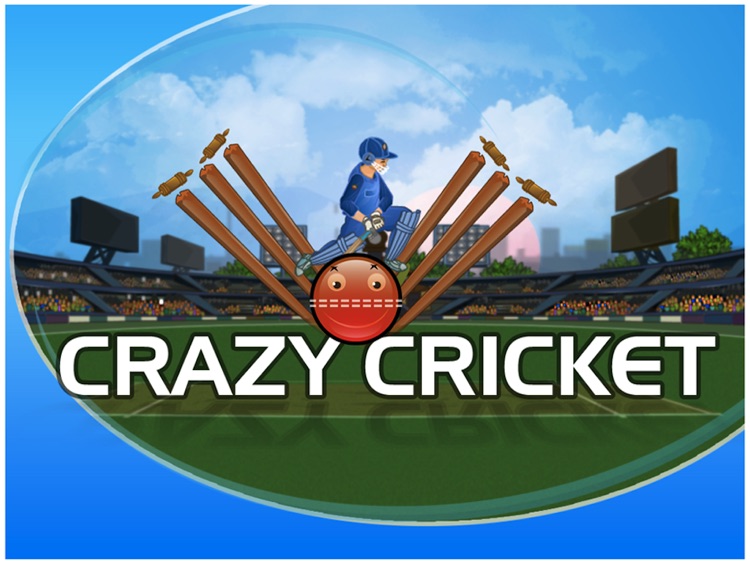 Crazy Cricket HD screenshot-3