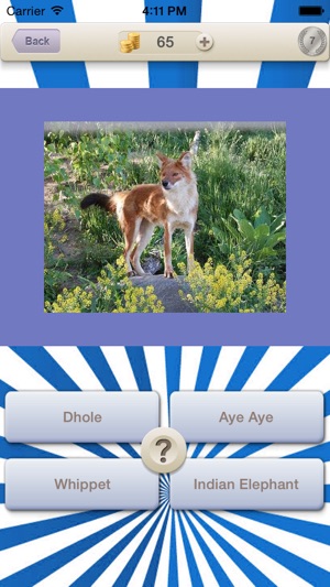 Animals Guess Quiz(圖2)-速報App