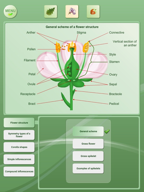 Biology - Plant handbook Free