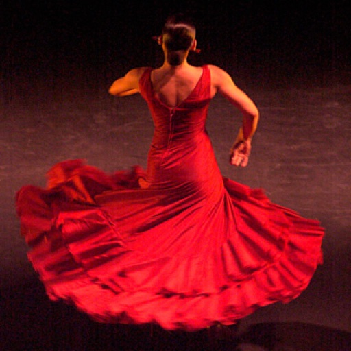 Learn to Dance: Flamenco icon