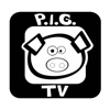 PIG TV