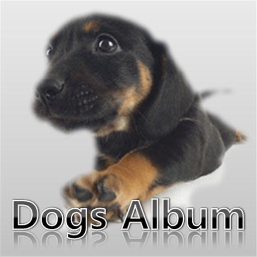 Dogs Album icon