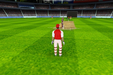 WPL Cricket screenshot 4
