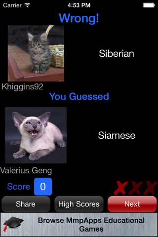 3Strike Kittens screenshot 4