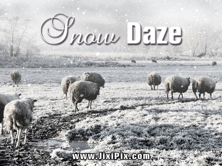 Snow Daze HD