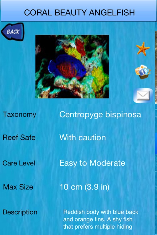 Marine Aquarium Fish Species screenshot-3