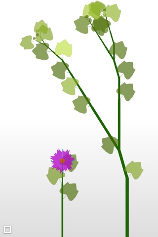 Flowerium.のおすすめ画像2