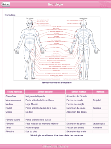 SMARTfiches Neurologie HD Free screenshot 3
