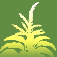 Ag Weed ID pour PC