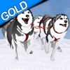 Dog Sledding Winter Race : The canine cold ice sled in the north pole - Gold Edition