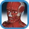3D like great clarity images of 150+ Human Body Organ Parts with over 700,000 text characters of detailed information
