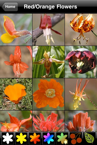 SGMPlants - Plants of the San Gabriel Mountains screenshot 2