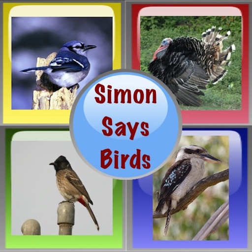 Simon Says Birds icon