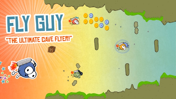 Fly Guy