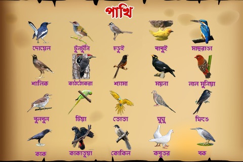 Bengali Birds screenshot 2