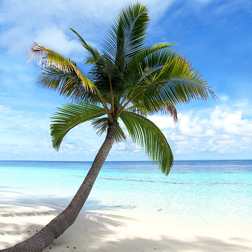 Tropical Islands Slideshow & Wallpapers