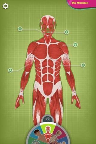 The human body explained by Tom - Discovery screenshot 3