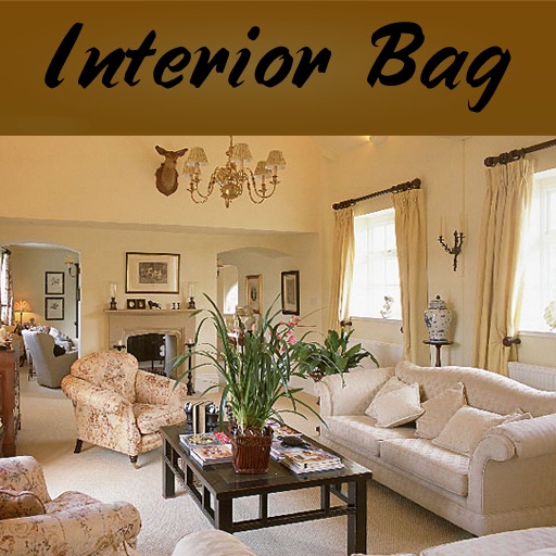 Interior Bag