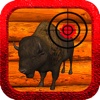 American Bison Hunting 2014