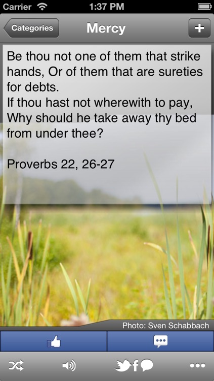 Bible Verses - Inspirational and Encouraging Quotes for Everyday Living screenshot-3