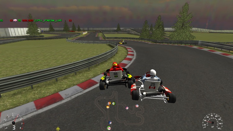 Go Kart Race