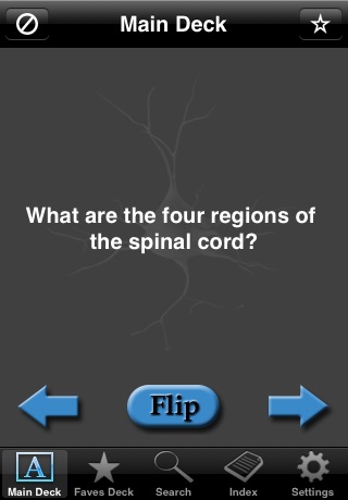 Nervous System Anatomy