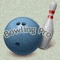 This is the best and most realistic 3D bowling game for your device