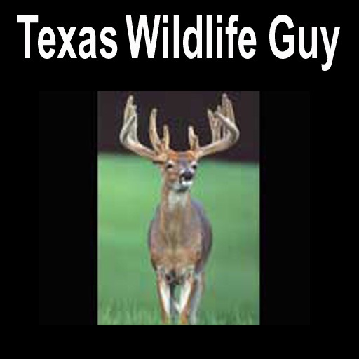 Wildlife Management