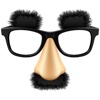 Groucho Glasses