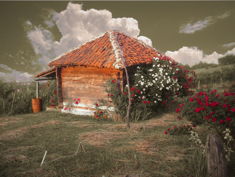 Romantic Photo HD