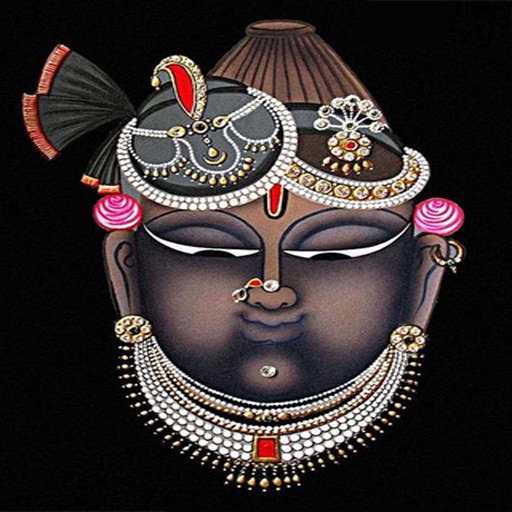 ShrinathjiDarshan icon