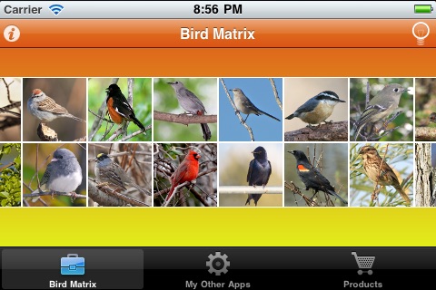 Bird Matrix screenshot 3