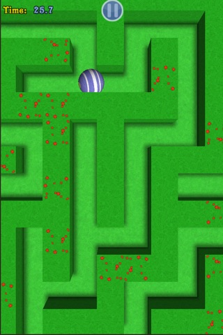 Super Maze Puzzler Deluxe screenshot 2