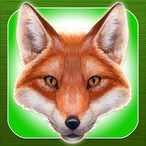 A What Does The Fox Jump Endless Runner Animal Racing Game by Awesome Wicked Games Icon