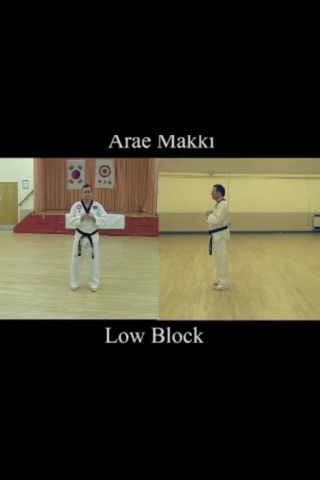 Taekwondo Blocks screenshot 3
