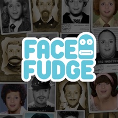 Activities of FaceFudge