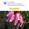 Guida interattiva alla flora dei magredi di Cordenons-Vivaro (PN)