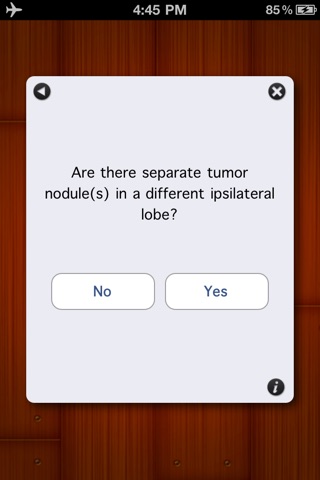 StageIt - Lung Cancer Staging Assistant screenshot 2