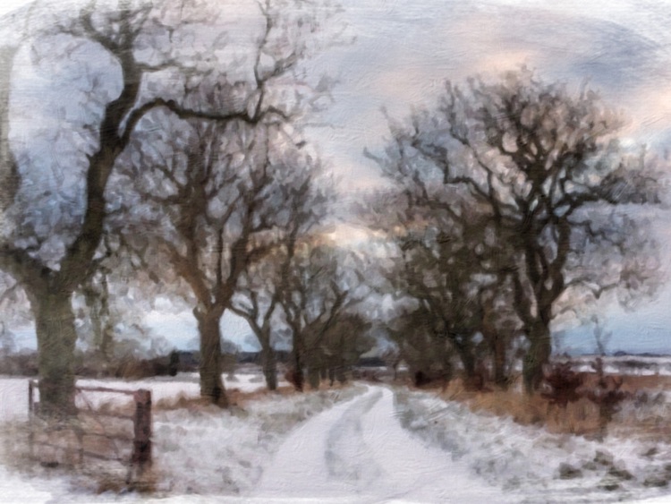 PhotoArtistaHD - Oil