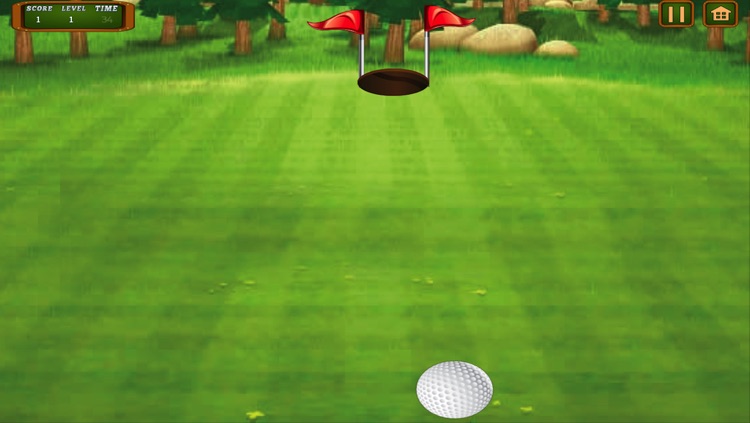 Golf Flick Crazy Extreme Course screenshot-3