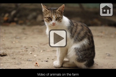 100 Things: Farm Animals – Video & Picture Book for Toddlers screenshot 3