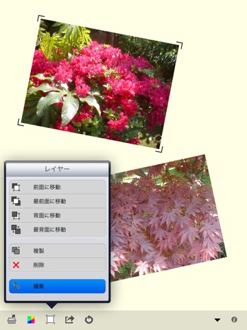 CollageEditor for iPad screenshot 2
