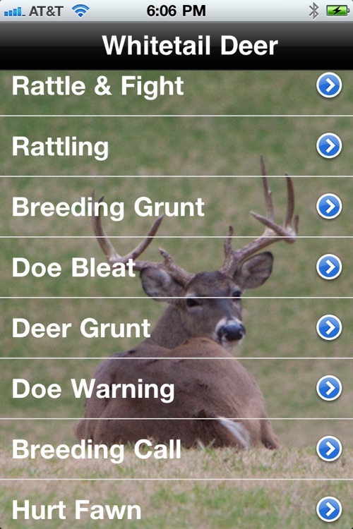 Pro Deer Calls