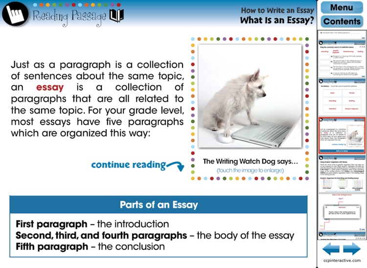 How to Write an Essay - Common Core