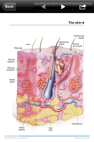 Miniatlas Dermatology screenshot 2