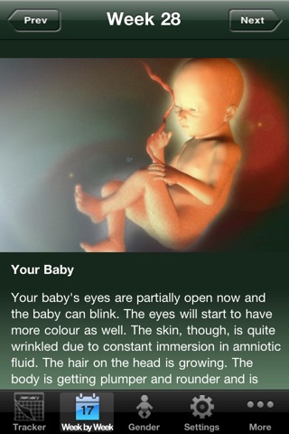 Baby Pregnancy Tracker screenshot 3
