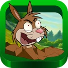 Kill the Rabbit Free HD